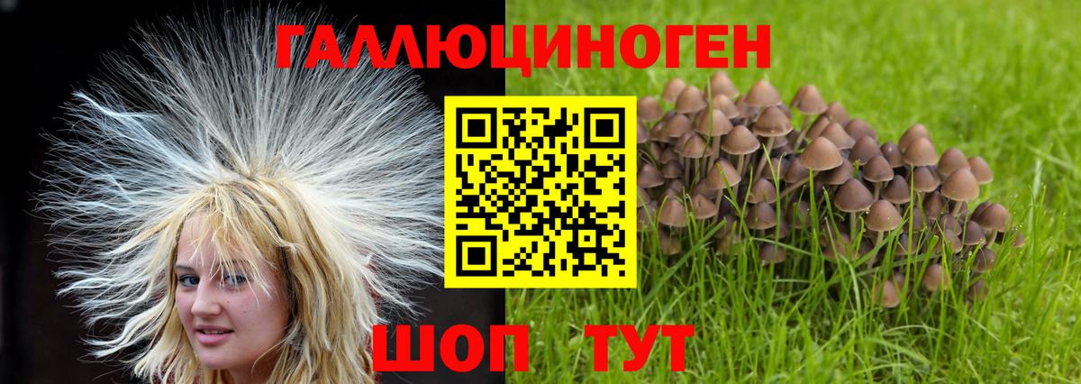 Ишимбай  Псилоцибиновые грибы мухоморы  Галлюциногенные грибы Cubensis  Вход с VPN 