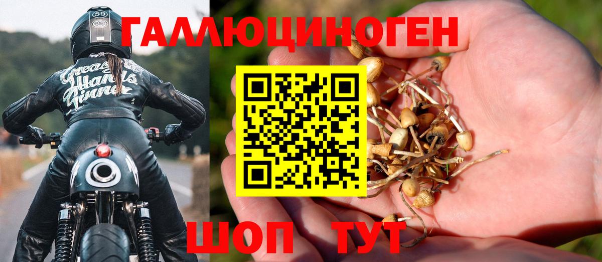 Галлюциногенные грибы Magic Shrooms Ишимбай